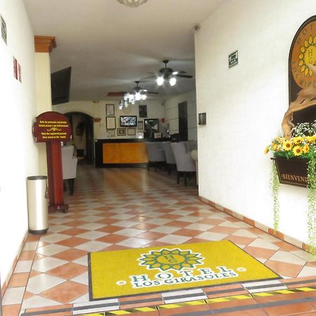 Hotel Los Girasoles Tepic Dış mekan fotoğraf