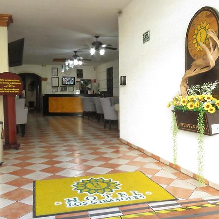 Hotel Los Girasoles Tepic Dış mekan fotoğraf